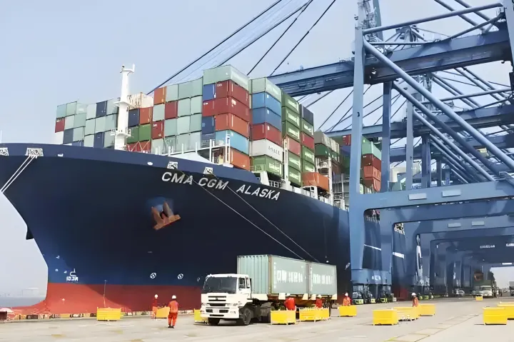 突发！MSC 集装箱船被扣，曾挂靠上海、宁波、厦门等港口