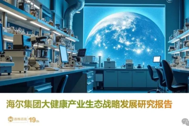 鼎帷咨询：2025海尔集团大健康产业生态战略发展研究报告