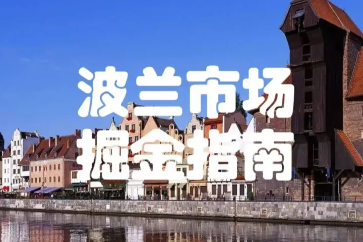 波兰跨境卖家必看， Proforma形式发票不能做波兰VAT申报！