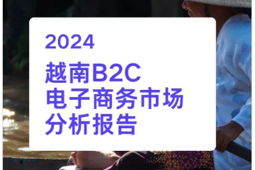 GEP-2024越南B2C电商市场报告