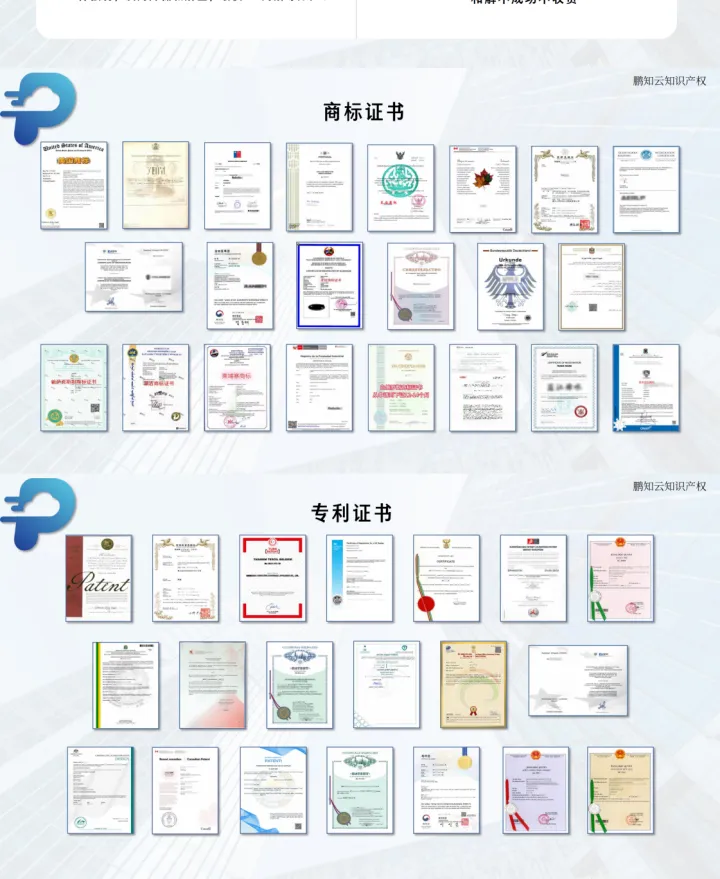 鹏知云知识产权丨全球知产服务
