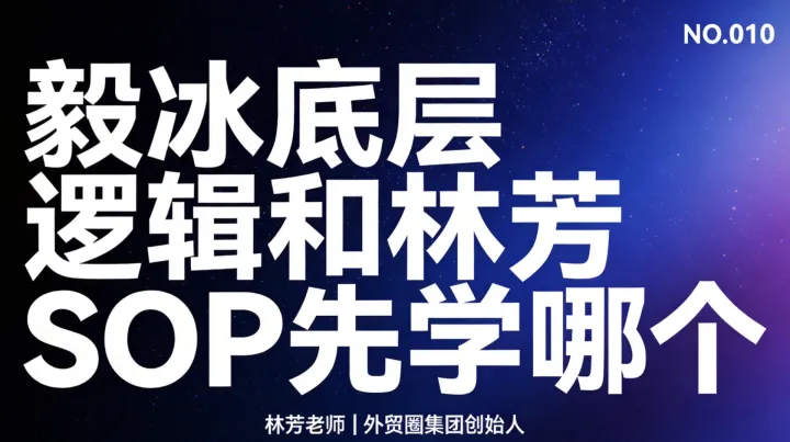 G10-毅冰讲究底层逻辑，林芳强调SOP流程，该选哪个？