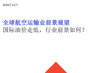 IATA2024全球航空运输业前景展望报告国际油价走低行业前景如何36页