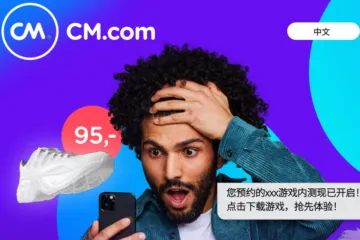 2025年WhatsApp Business营销指南（14页）