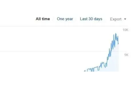 谷歌打击的过期域名滥用是什么