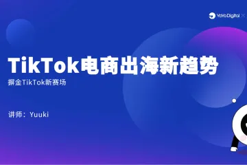 TikTok电商出海新趋势（34页）
