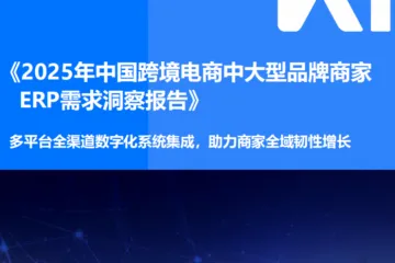 36氪研究院：2025年中国跨境电商中大型品牌商家ERP需求洞察报告