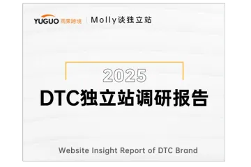 雨果跨境:2025DTC独立站调研报告