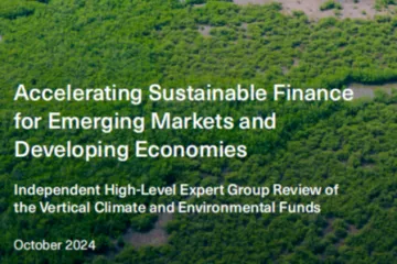 CPI：2024推动新兴市场与发展中经济体绿色金融加速发展-垂直气候和环境基金的独立高级专家组审查报告英文版