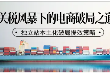 关税风暴下:DTC独立站破局增长的支付解法