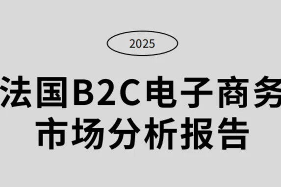 GEP-2025年法国<em>B2C</em>电商市场分析报告