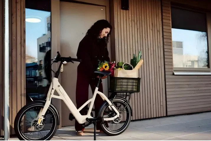 關稅80%、同行破產，TENWAYS憑什么敢沖“E-bike第一股”？