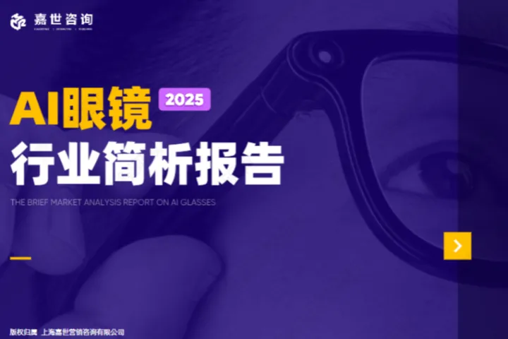 嘉世咨询2025AI眼镜行业简析报告16页