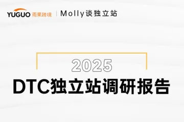 雨果跨境：2025DTC独立站调研报告