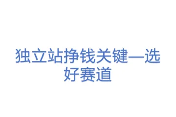 独立站挣钱关键—选好赛道