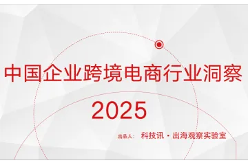 2025中国企业跨境电商行业洞察报告