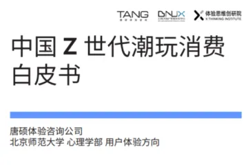 唐硕体验咨询公司北京大学Z世代:潮玩消费白皮书