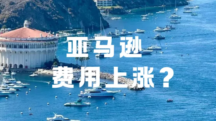 旺季物流费三重上涨？2026亚马逊卖家如何守住利润？
