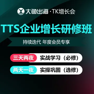 大鱼出海-TikTok Shop企业增长研修班