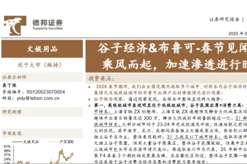 文娱用品行业谷子经济布鲁可春节见闻乘风而起加速渗透进行时-25021816页