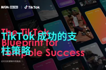 CHS_Magna：2025TikTok大型活动营销蓝图三大核心挑战与解决策略