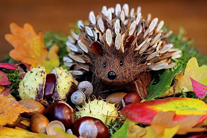 跨境电商秋季社媒营销全攻略：如何用内容抓住“黄金90天”