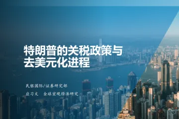 民银国际：2025特朗普的关税政策与去美元化进程报告