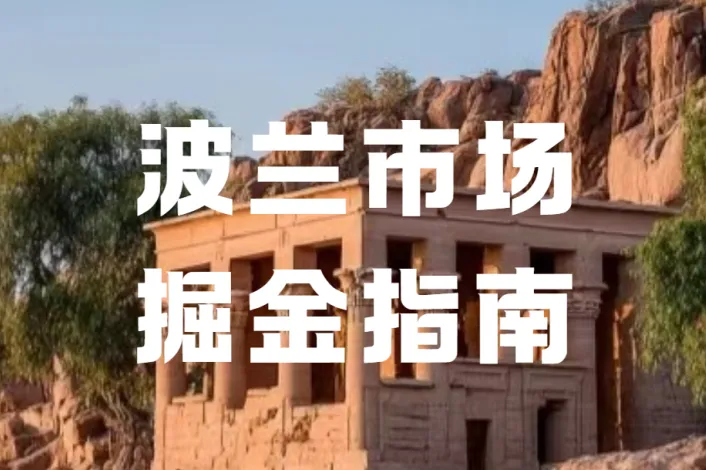 欧盟VAT大变天！ViDA改革提速，2026年窗口期，中国出海企业必看！