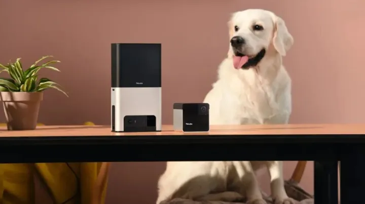 65名员工吸金上亿，宠物监控“照”出北美爆品