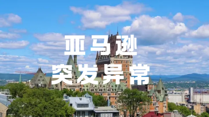 后台订单直接变0？Q4旺季卖家千万不要乱操作