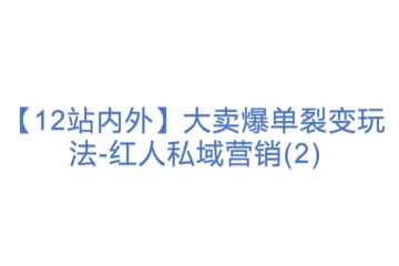 【12站内外】大卖爆单裂变玩法-红人私域营销(2)