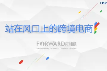 前瞻:站在风口上的跨境电商(2018)(51页)