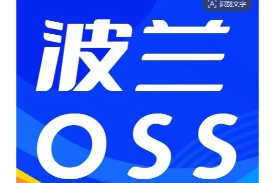 非欧盟企业进军欧洲市场：破解波兰OSS注册