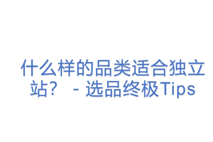 什么样的品类<em>适合</em>独立站？－选品终极Tips