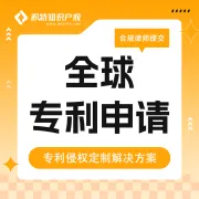 积特知识产权—全球专利申请