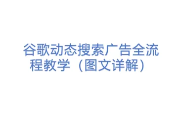 谷歌动态搜索广告全流程教学（图文详解）