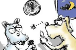 中国城市宠物管理现状