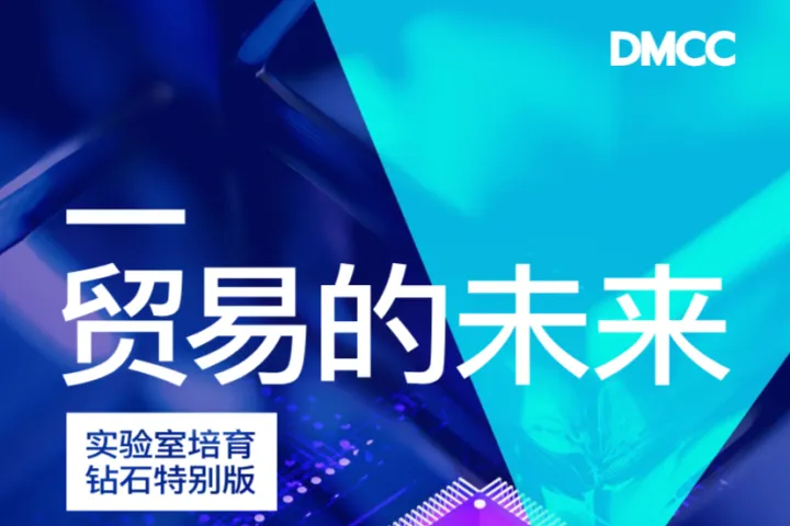 DMCC2023贸易的未来实验室培育钻石特别版15页