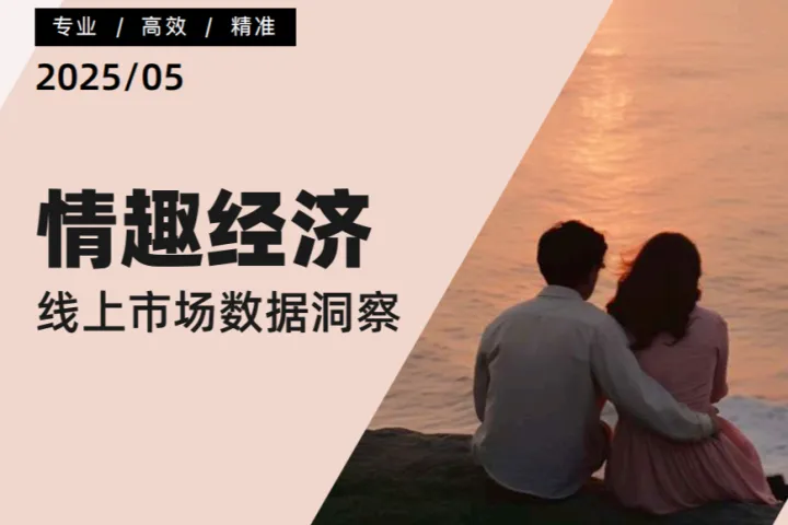 炼丹炉2025情趣经济线上市场数据洞察报告41页