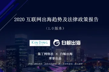 白鲸出海:2020互联网出海趋势及法律政策报告1.0第一部分