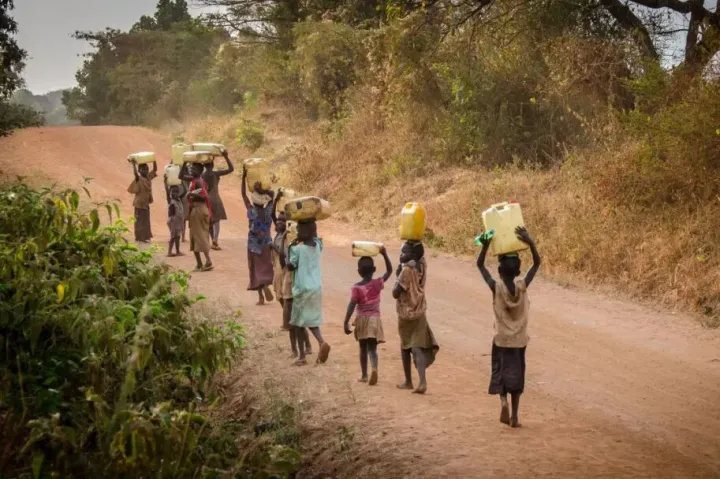 加纳小型金矿出口创汇额已突破80亿美元、津巴布韦颁布新版《矿业和矿产法案》｜非洲近期热点要闻一览【94期】