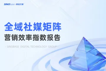 赛诺贝斯：2025全域社媒矩阵营销效率指数报告