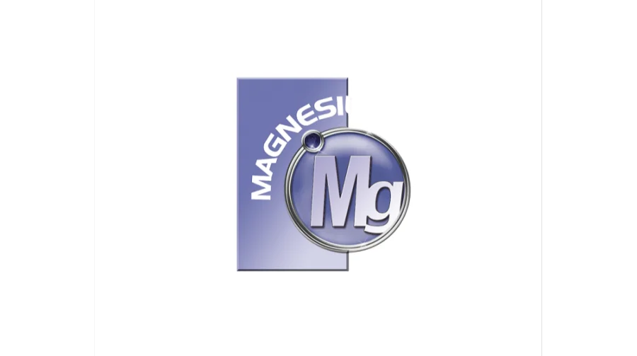 2027年上海国际镁工业展览会 MAGNESIUM CHINA