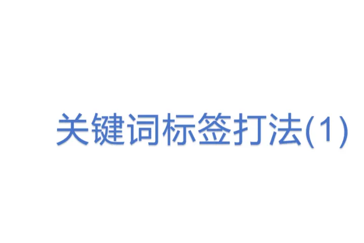 <em>关键词</em>标签打法(1)
