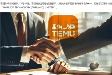 Temu在泰国正式<em>注册</em>成立法人<em>实体</em>！| 跨境焦点