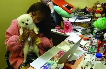 《青年报》创业公司----带宠物去上班！