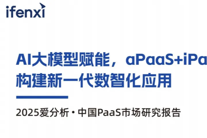 2025中国PaaS市场研究报告(32页)