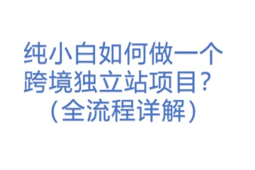 纯小白如何做一个跨境独立站项目？（全流程详解）