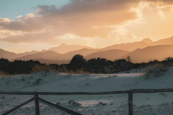 人工智能训练师成新宠！2026佛山报考指南：人社部认证+政府补贴