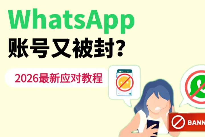 WhatsApp账号又被封？2026最新解封+养号+防封全教程